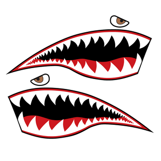 Shark Mouth Nose Art