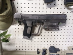 Halo Magnum Mounted 1