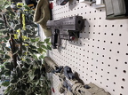 Halo Magnum Mounted 2